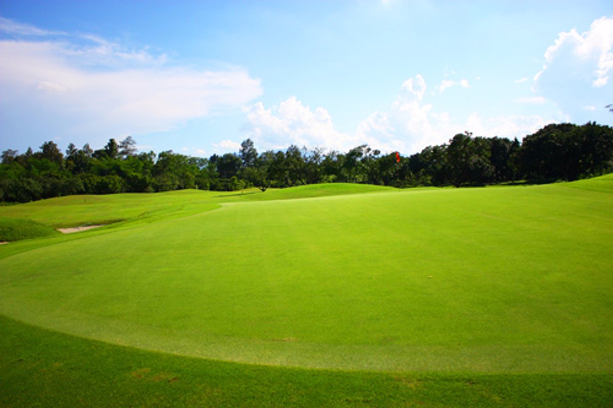 매조 골프클럽 앤 리조트