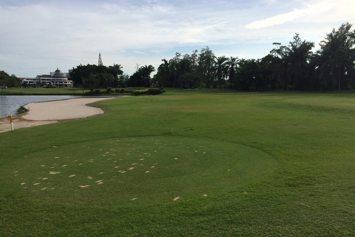 써밋 윈드밀 골프클럽