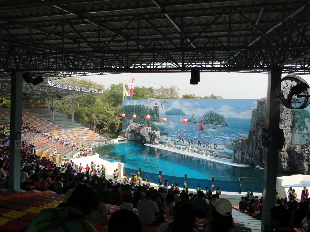 사파리 월드 일일투어