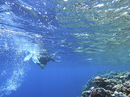 코사메산 스노클링 일일투어