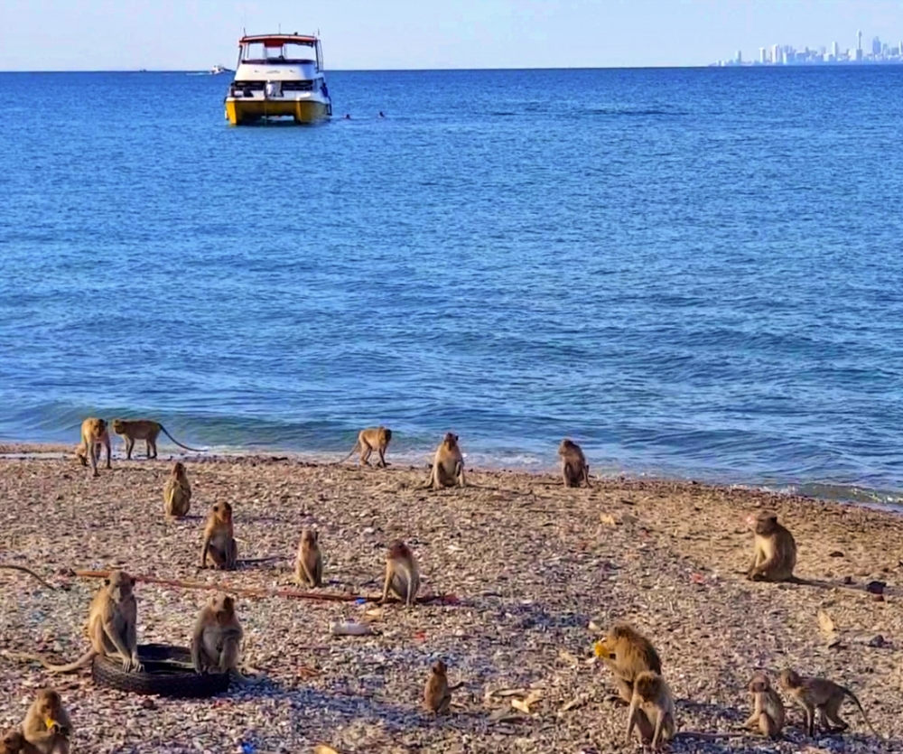 파타야 요트투어