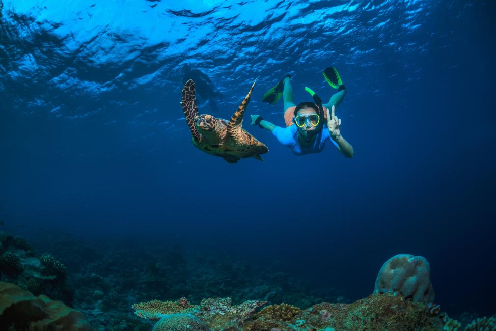 니모섬 스노클링 반일투어