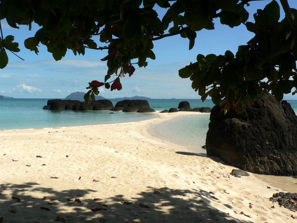 코캄 스노클링 일일투어