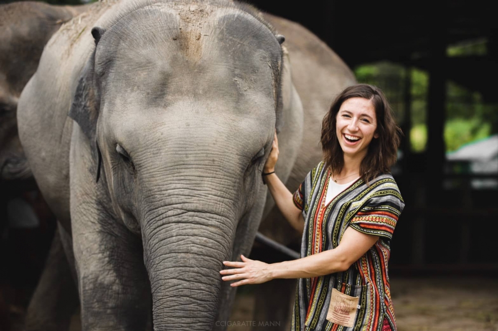 코끼리 정글 생츄어리