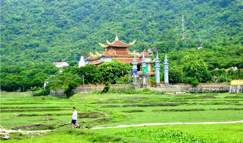 참섬 스노클링 씨워킹 투어