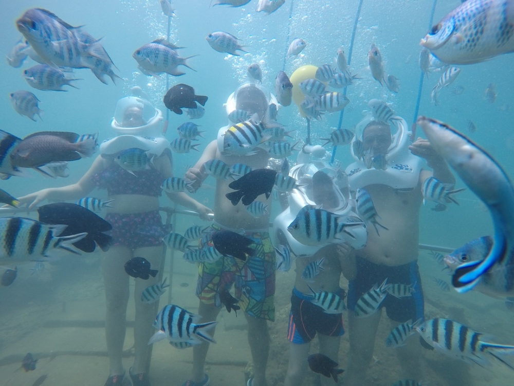 참섬 스노클링 씨워킹 투어